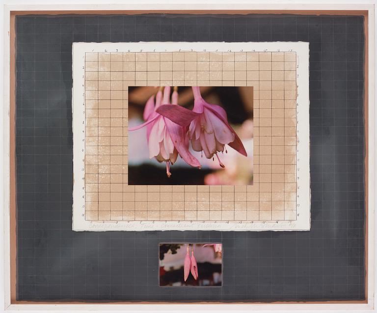 Michelle Stuart, "Correspondences: Time Connecticut Fuchsia".