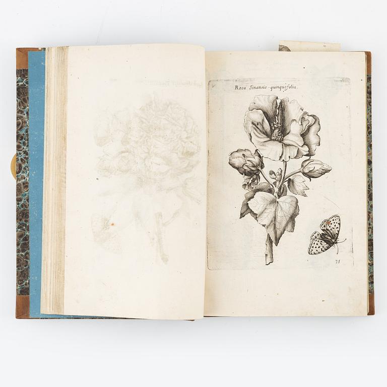 Beautiful botanical work with 177 engravings, 1641 (-44).