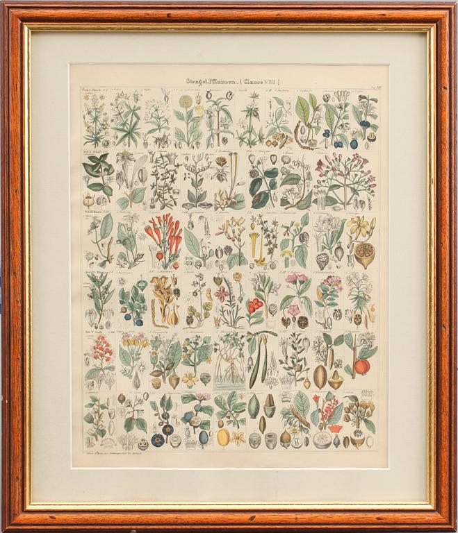 GRAFISKA BLAD, 4 st, 1800/1900-tal.