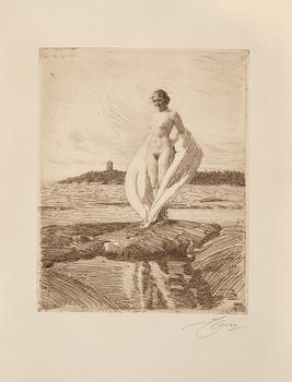 168. Anders Zorn, "The Swan".