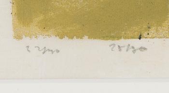 Jaakko Somersalo, Asetelma.