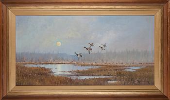 EJNAR KOHLMANN, öljy kankaalle, signeerattu,