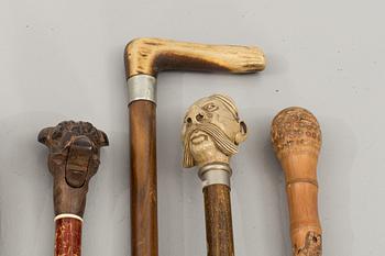 SEVEN WALKING STICKS.