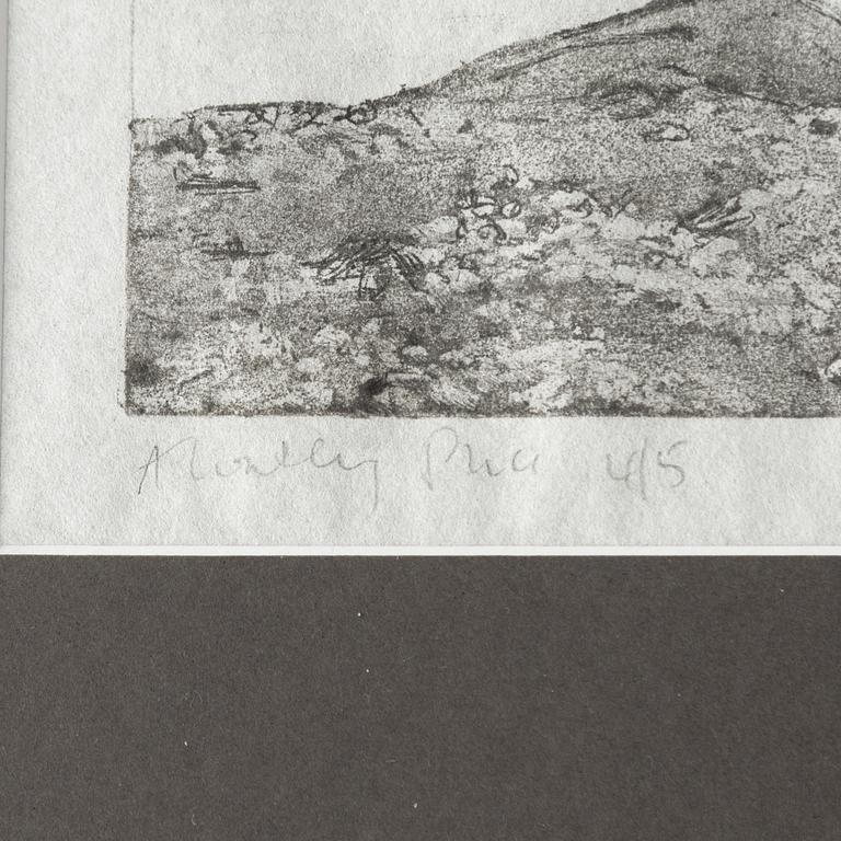 Alannah Robins, "Time and Water, print 4", 2023.