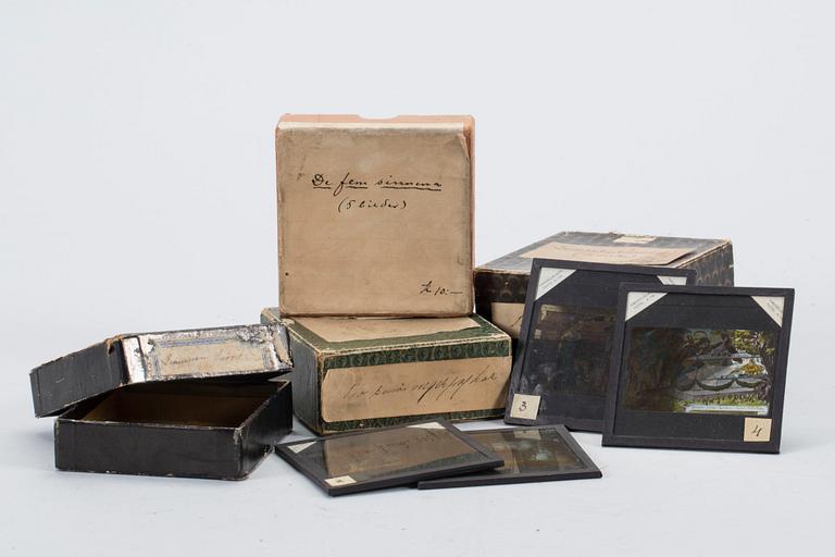 DIABILDER, 37 st, glas, Hasselblads, 1900-talets början.