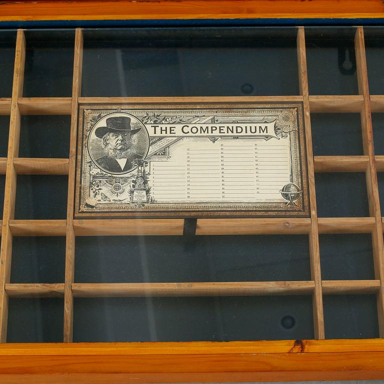 A 20th century collector's chest by The indestructible trunk & container Co.