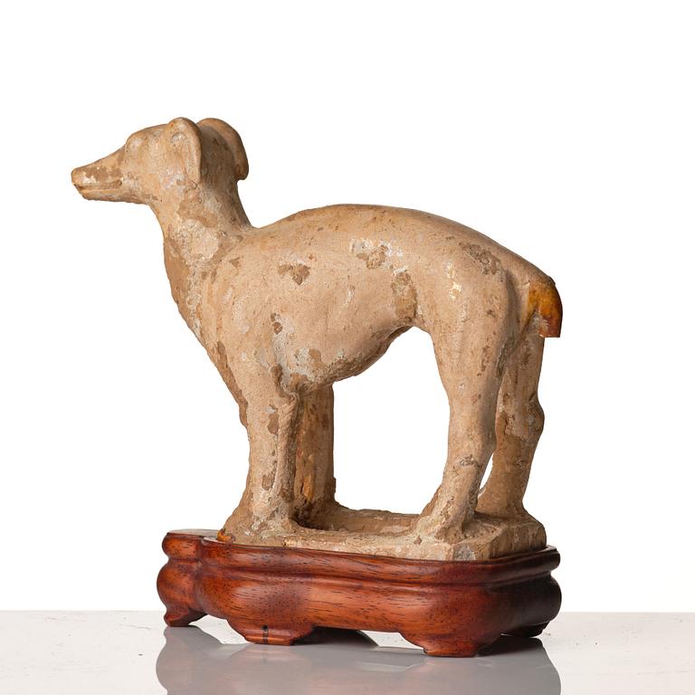 A pottery figure of a dog, Tang dynasty (618-907).