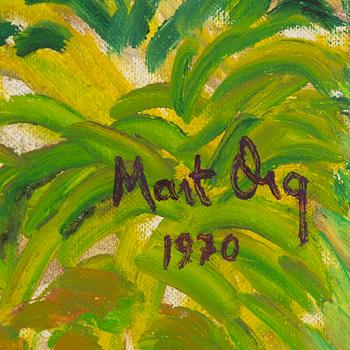Mart Org, Olivskog i södra Frankrike.