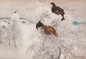 Bruno Liljefors, "Orrar i vinterlandskap" (Winter landscape with black grouse).