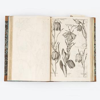 Beautiful botanical work with 177 engravings, 1641 (-44).