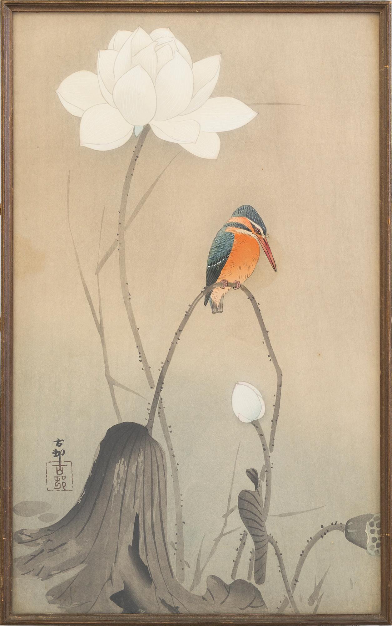 KOSON OHARA (1877-1945), färg träsnitt. Japan, "fågel".