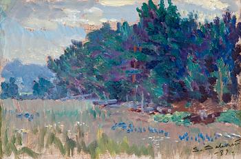 494. Santeri Salokivi, LANDSCAPE.