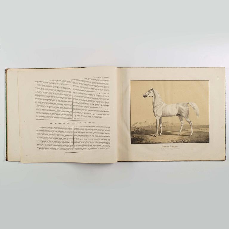 BOK: Rudolf Kuntz: Abbildungen Königlich Württembergischer Gestütts Pferde 
von orientalischen Racen. [1-3].