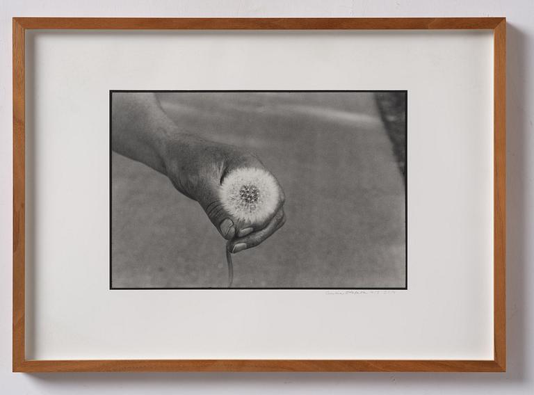 Cecilia Edefalk, "Dandelion", 2014.