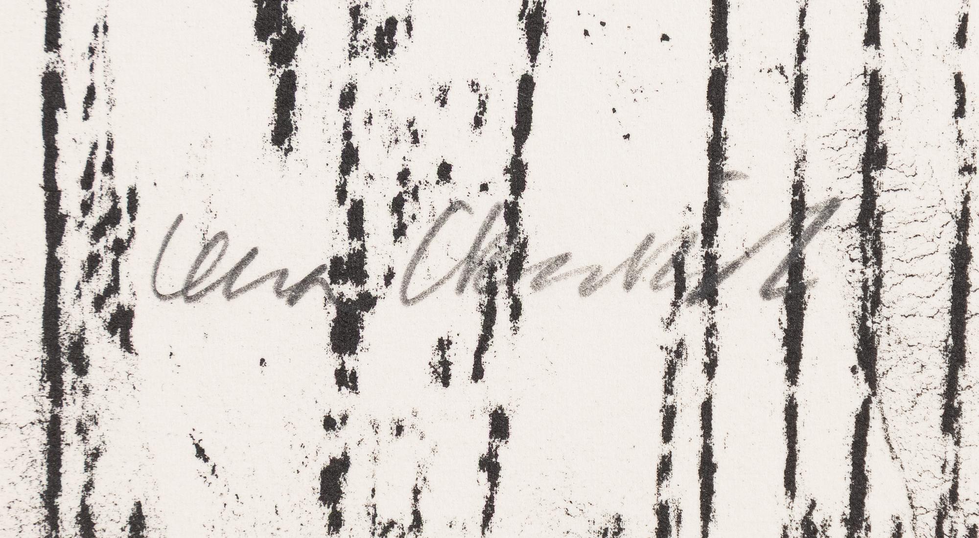 Lena Cronqvist, Untitled, from the portfolio: "August Strindberg, Ett Drömspel".