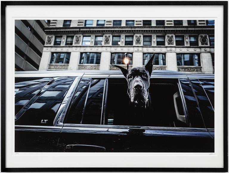 Mats Alfredsson, "Chicago", 2022.