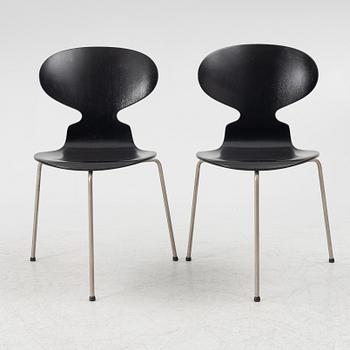 Arne Jacobsen, stolar 6 st, "Myran", Fritz Hansen, Danmark.