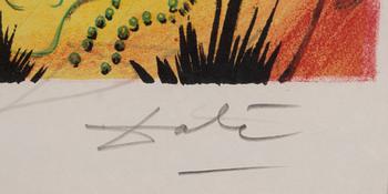 Salvador Dalí, "The Toad", from H C Andersen's Fairy Tales.