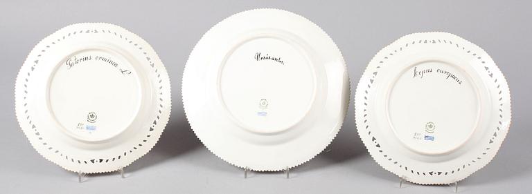 TALLRIKAR, 3 st. Porslin, "Fauna Danica", Royal Copenhagen.