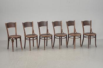 STOLAR, 6 st, Cosmos, 1900-talets första hälft, etikettmärkta.