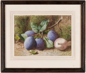 Charles Henry Slater · CHARLES HENRY SLATER, akvarell, signerad.