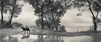 284. Pentti Sammallahti, "Cilento, Italien", 1999.