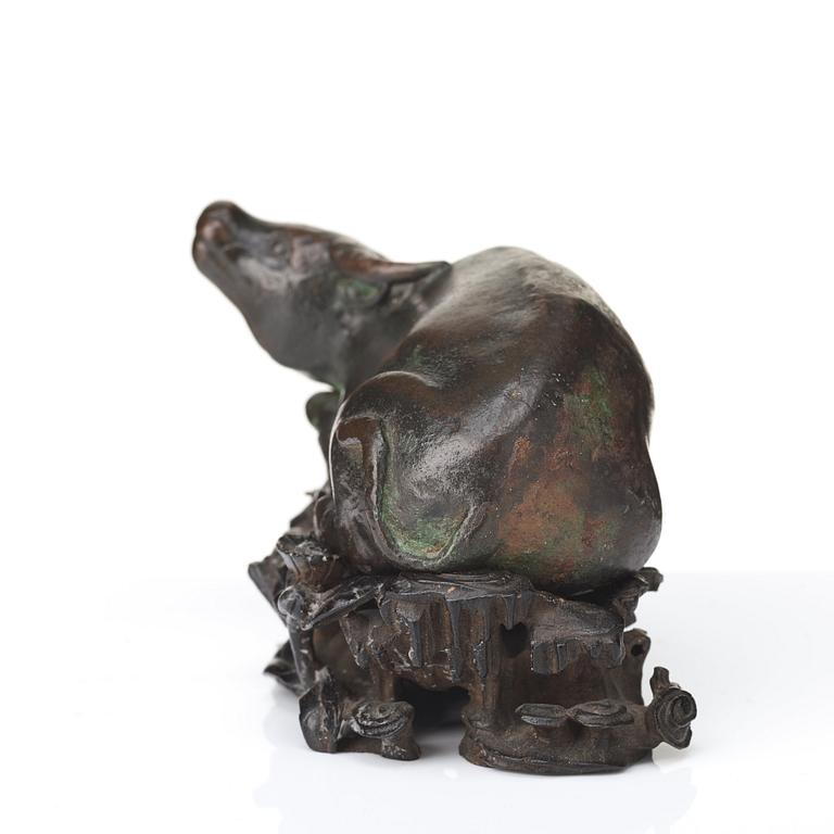 A bronze scultpure of a water buffalo, Ming dynasty (1368-1644).