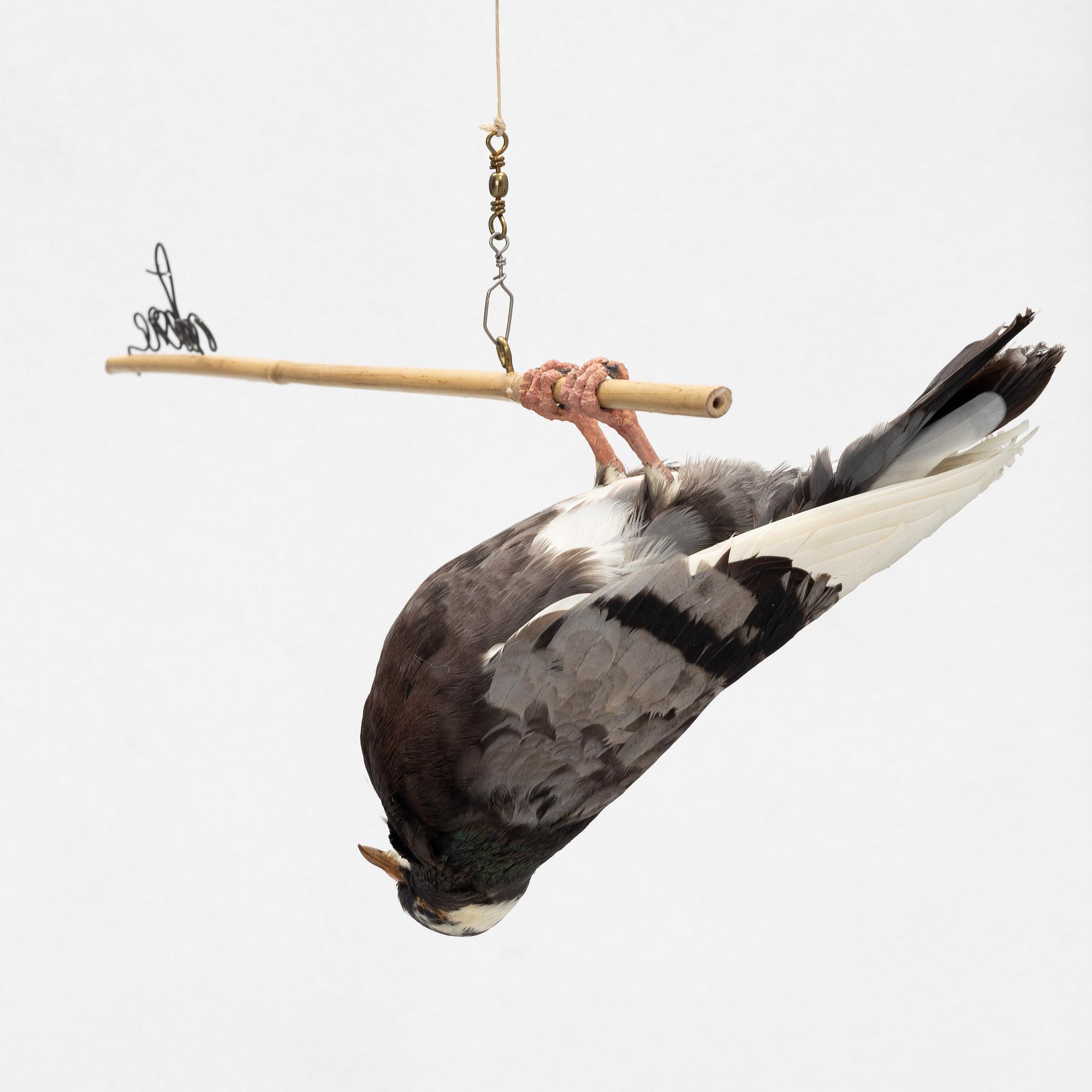 Lotta Hannerz, mixed media, (stuffed pigeon & bamboo stick), 2005.