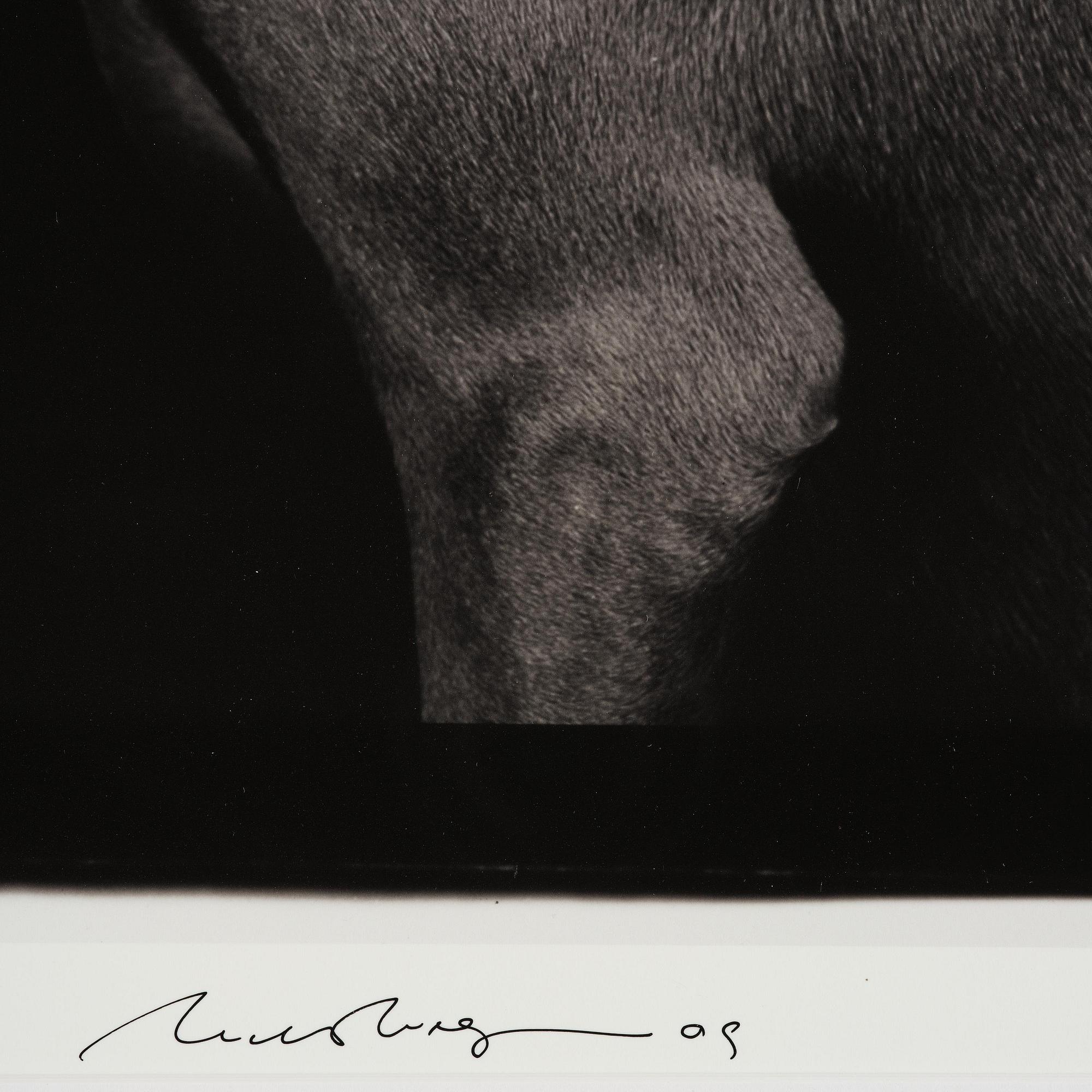 William Wegman, "Friends".