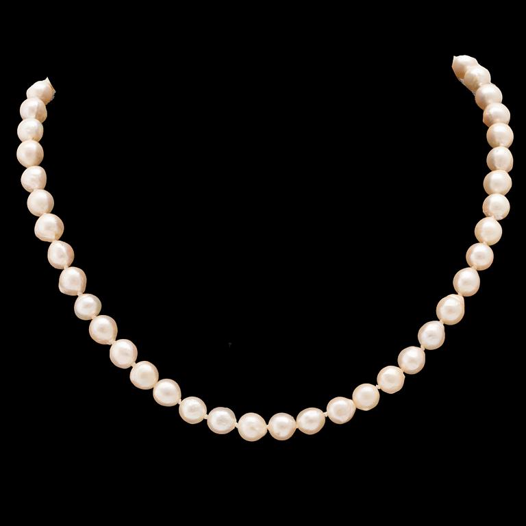 Necklace of cultured pearls with clasp in 18K white and red gold.