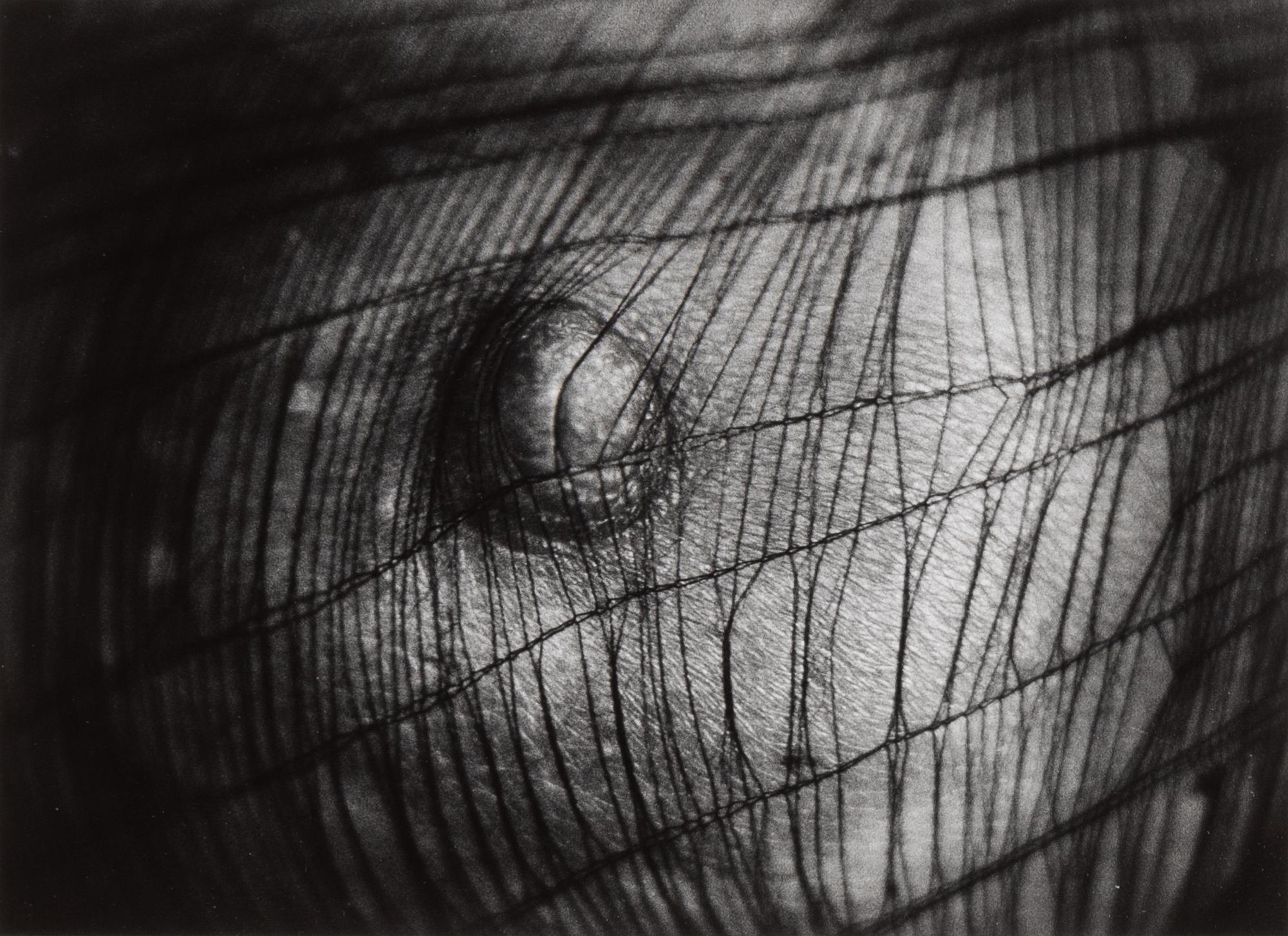 Christer Strömholm, "Fox Amphoux", 1987.