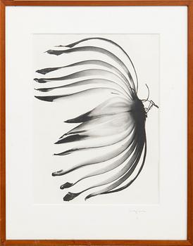 Ingvar Eriksson, photographs 3 pcs Untitled.