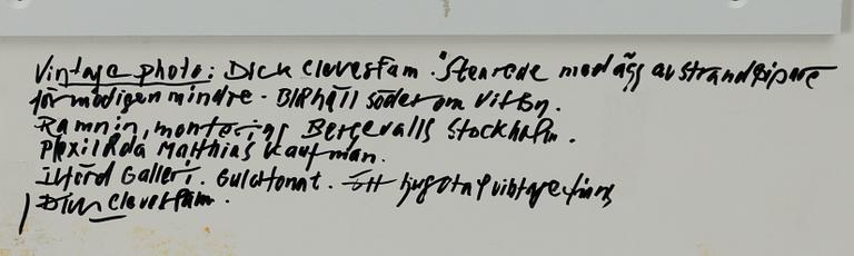 Dick Clevestam, "Stenrede med ägg av Strandpipare".