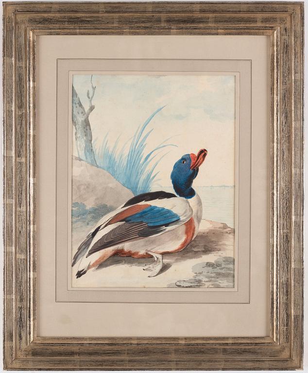 Aert Schouman, "Een Berg Eend nog mitt half levens groot".