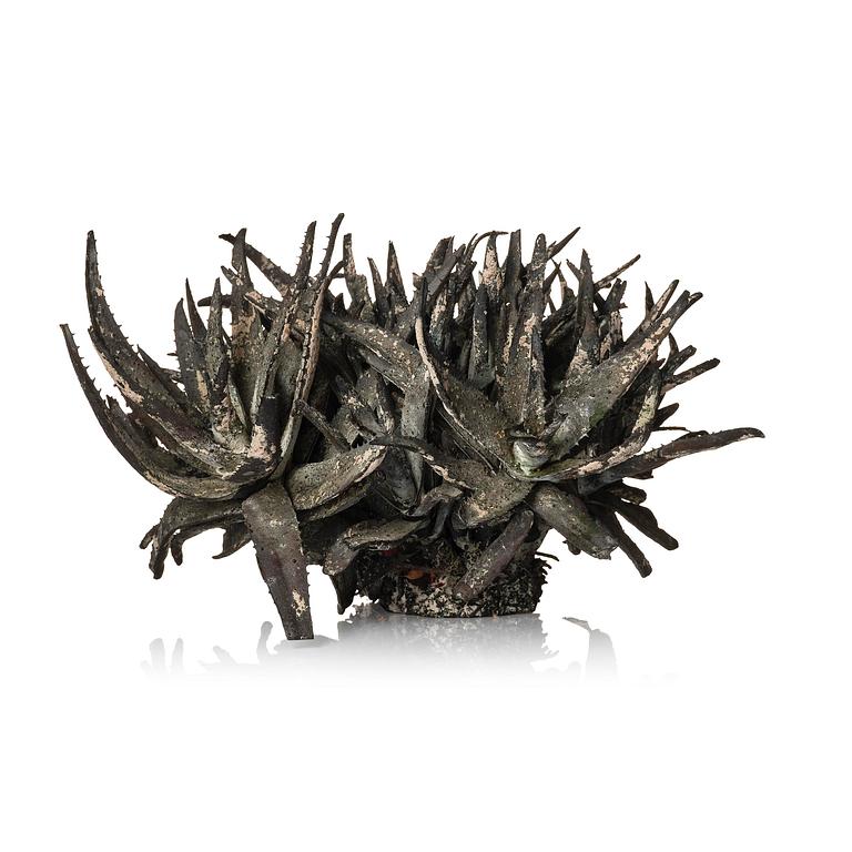 Roland Persson, "Aloe Vera".