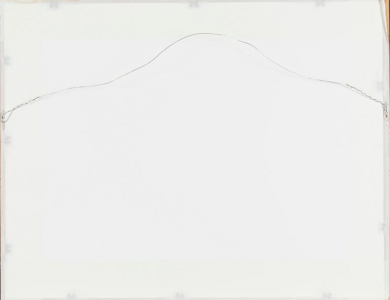 Santeri Salokivi, Landscape from Ruovesi.