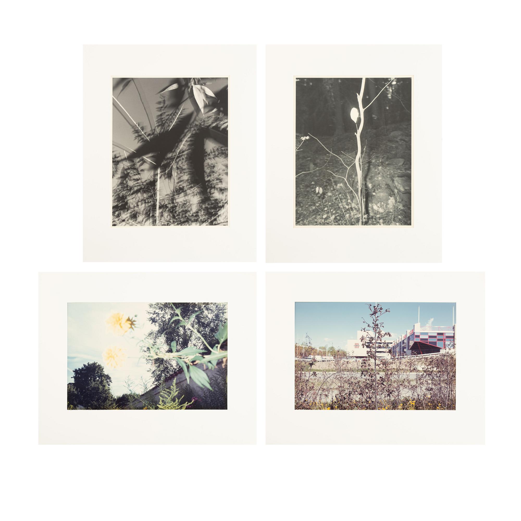 Åke E:son Lindman & Sven Westerlund, portfolio, 2 + 2 photos, signed 18/20.