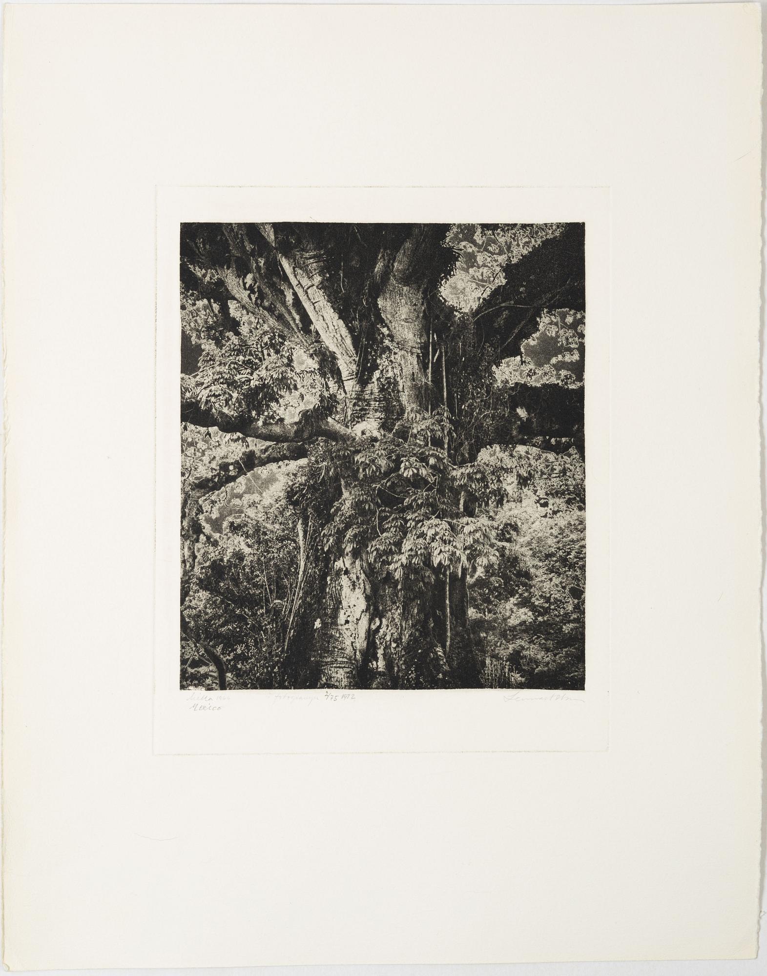 Lennart Olson, "Mitla, Mexico", 1966.