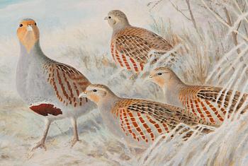 Matti Karppanen, Forest Birds in Winter Landscape.