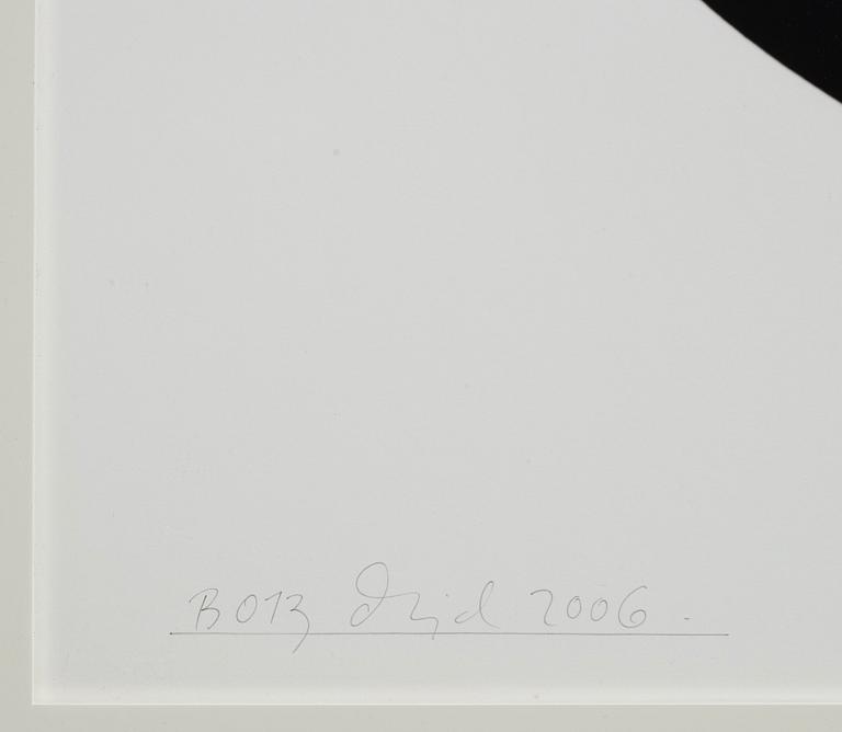 Dawid (Björn Dawidsson), "B013 ur serien Merit", 2006.