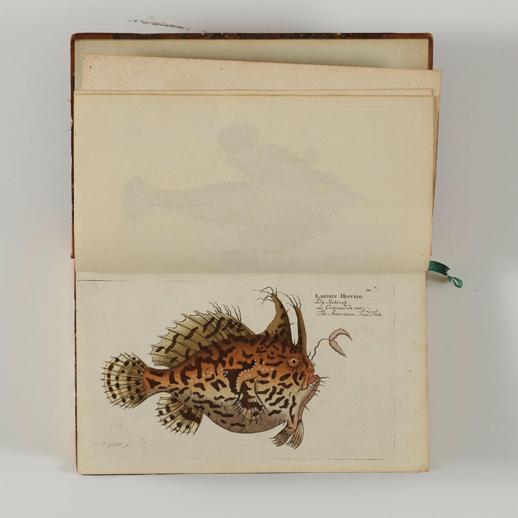 MARC ÉLIÉSER BLOCH (1723-1799), 6 vol, Ichthyologie ou Histoire Naturelle des Poissons, Berlin 1796.