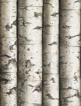 562. Philip von Schantz, "Birch trees" (Björkar).