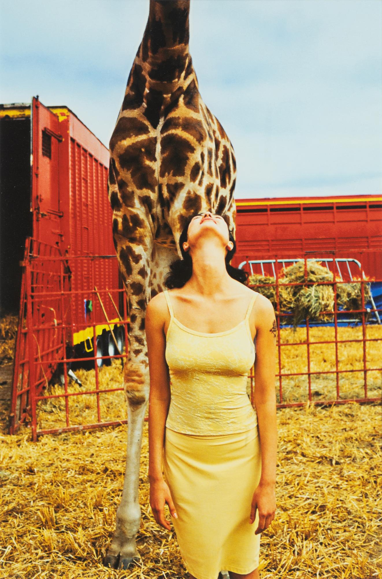 Heinz Angermayr, "Giraffhals".