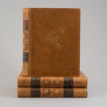 Three book "Svenska fåglar (Swedish birds)" with images by M, W & F VON WRIGHT, printed by Börtzells AB, 1924-1929.