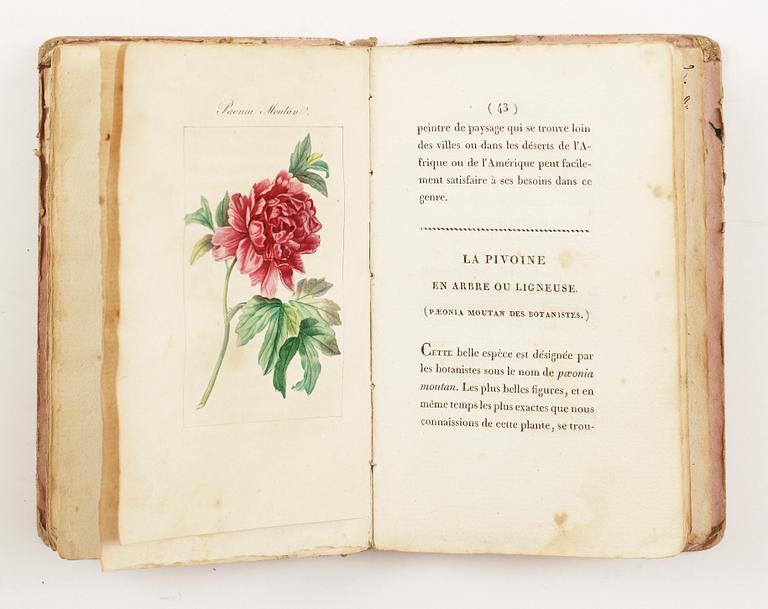 BOK, "Almanach de Flore ou description de douze plantes...Malmaison", Paris 1817.