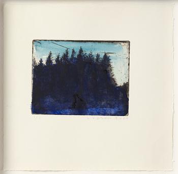 Lars Lerin, Forest.