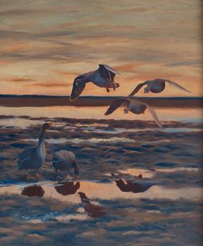 Bruno Liljefors, Flying geese.