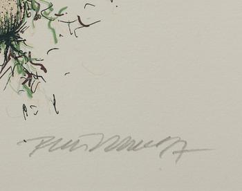 RAIMO KANERVA, färglitografi, signerad och daterad -97, numrerad XLVI/L.