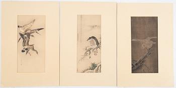 Three Japanese watercolours, 20th Century.