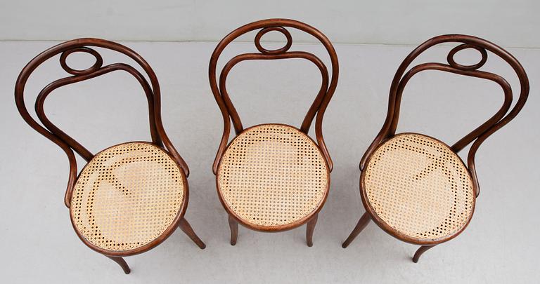 STOLAR, 3 st, Thonet, 1900-talets början.